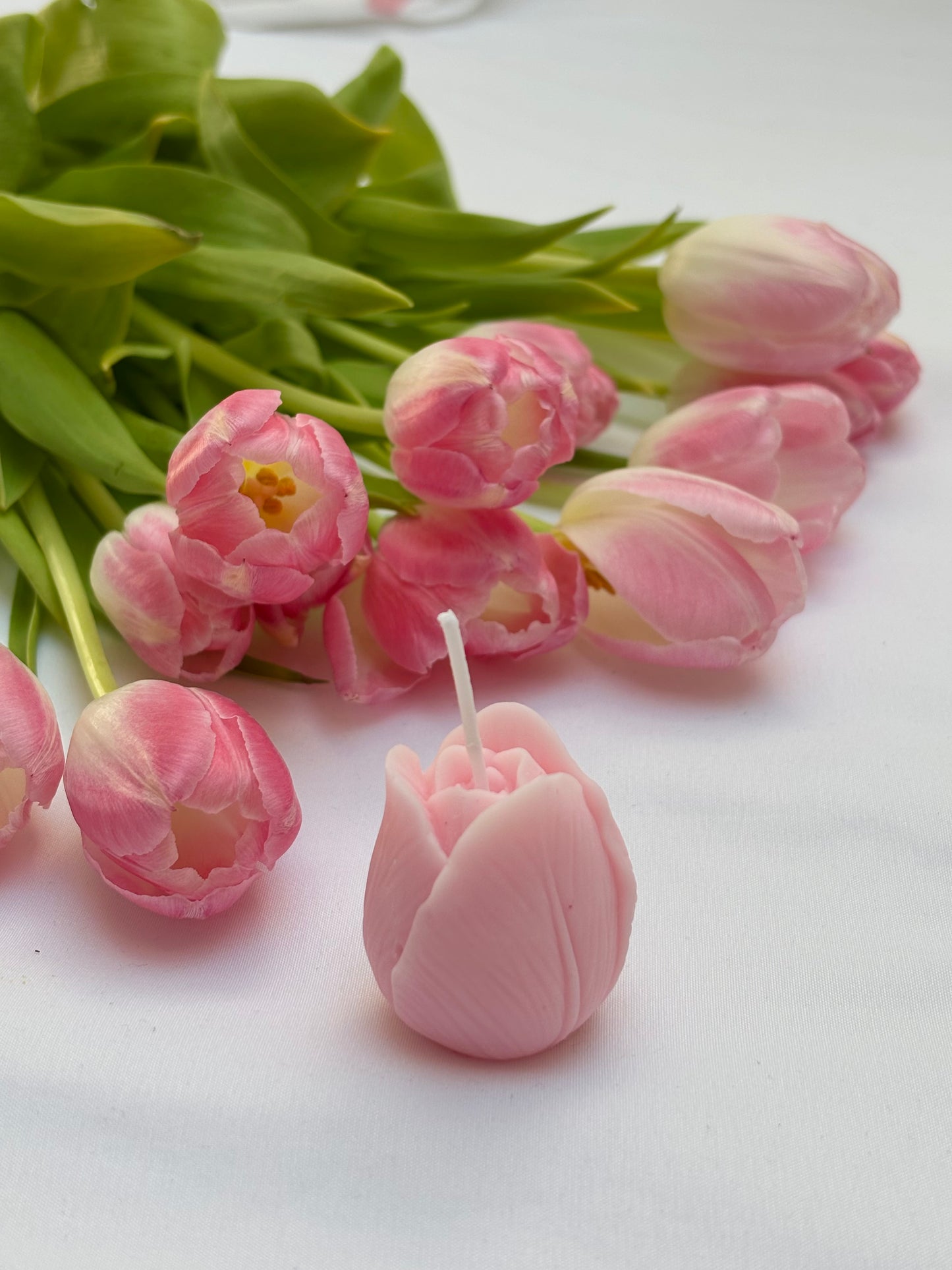 Kerze tulip