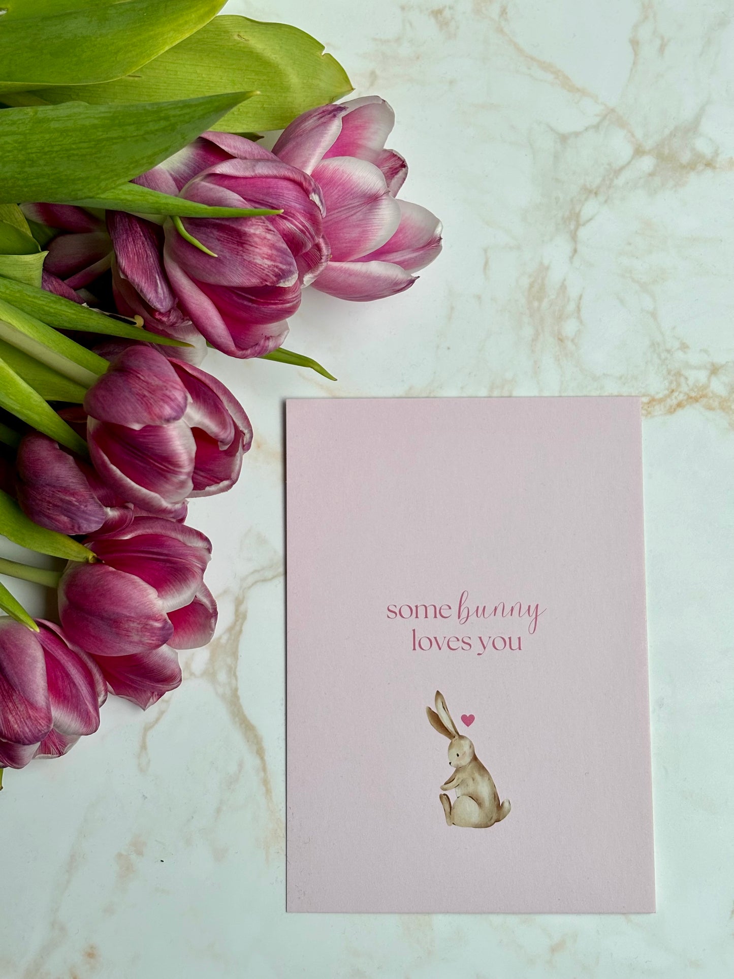 Karte bunny