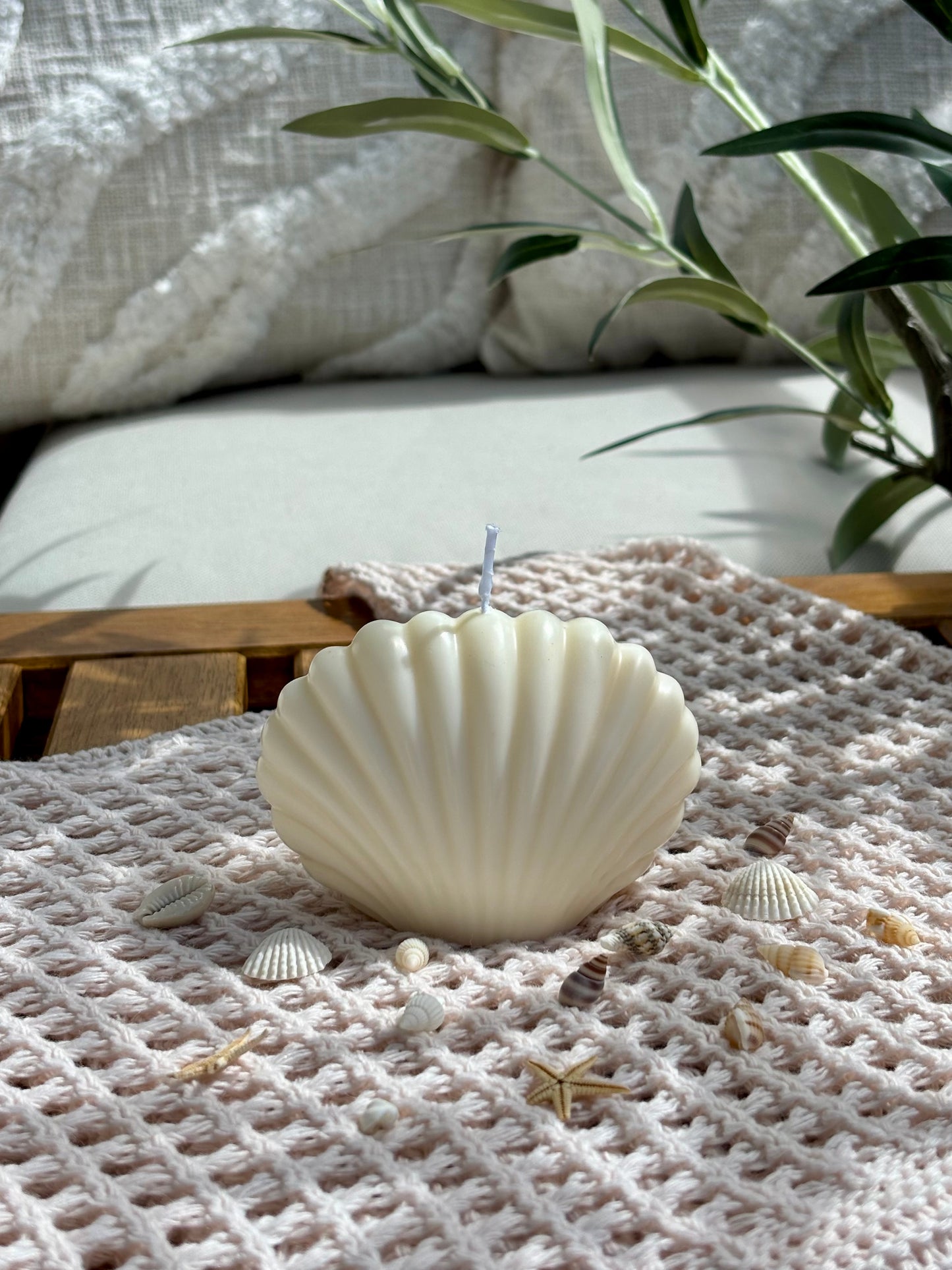 Kerze Muschel white