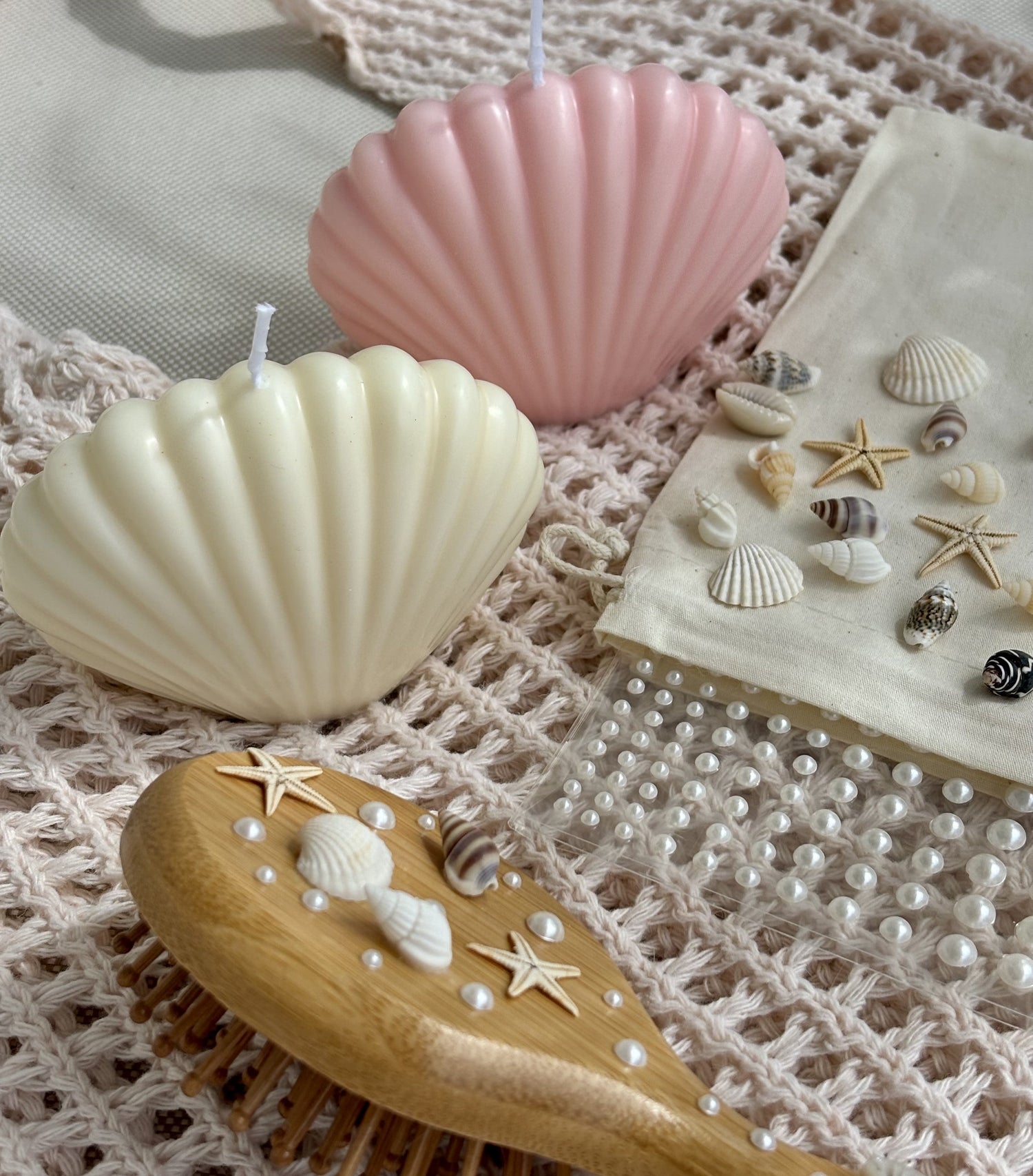 Muschel Collection