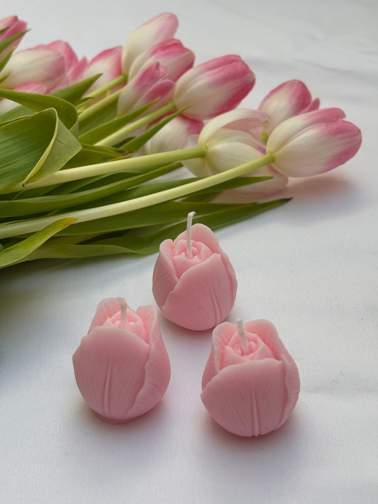 Bundle Kerze tulip