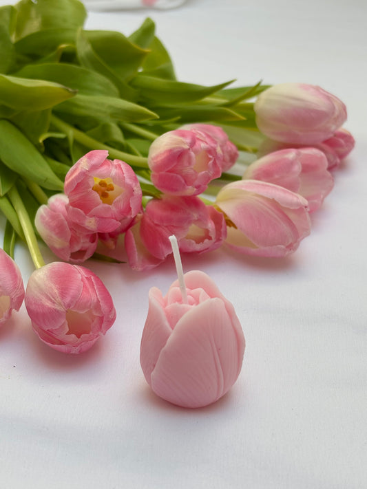 Kerze tulip